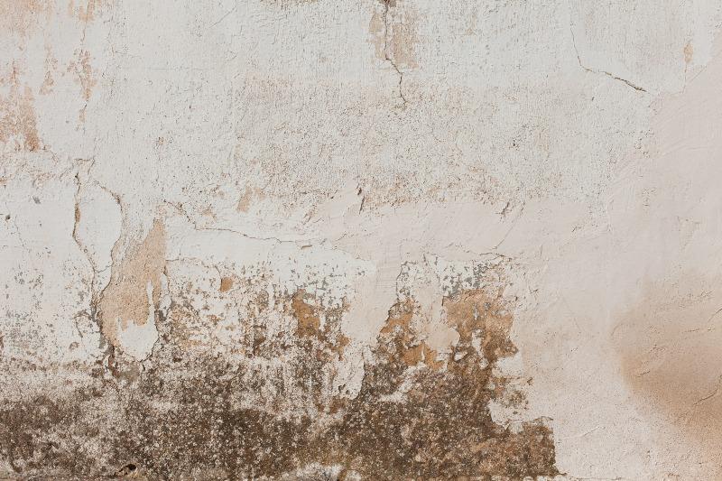 Daños en la parte inferior de una pared por humedad persistente